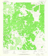 Harrison Ranch Texas Historical topographic map, 1:24000 scale, 7.5 X 7.5 Minute, Year 1963