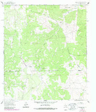 Harrison Ranch Texas Historical topographic map, 1:24000 scale, 7.5 X 7.5 Minute, Year 1963