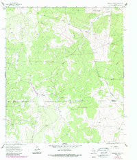 Harrison Ranch Texas Historical topographic map, 1:24000 scale, 7.5 X 7.5 Minute, Year 1963