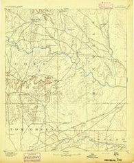 Hayrick Texas Historical topographic map, 1:125000 scale, 30 X 30 Minute, Year 1894