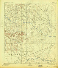 Hayrick Texas Historical topographic map, 1:125000 scale, 30 X 30 Minute, Year 1894
