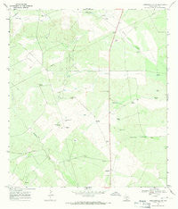 Hebbronville NW Texas Historical topographic map, 1:24000 scale, 7.5 X 7.5 Minute, Year 1967