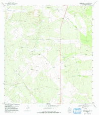 Hebbronville NW Texas Historical topographic map, 1:24000 scale, 7.5 X 7.5 Minute, Year 1967