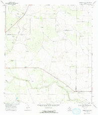 Hebbronville SE Texas Historical topographic map, 1:24000 scale, 7.5 X 7.5 Minute, Year 1967