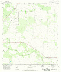 Hebbronville SE Texas Historical topographic map, 1:24000 scale, 7.5 X 7.5 Minute, Year 1967