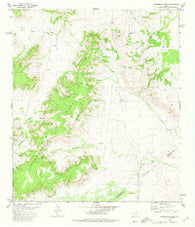 Henderson Mesa Texas Historical topographic map, 1:24000 scale, 7.5 X 7.5 Minute, Year 1980