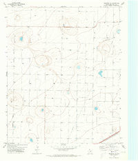 Hereford NE Texas Historical topographic map, 1:24000 scale, 7.5 X 7.5 Minute, Year 1971