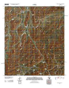 Hess Canyon Texas Historical topographic map, 1:24000 scale, 7.5 X 7.5 Minute, Year 2010