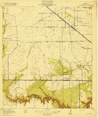Hillendahl Texas Historical topographic map, 1:31680 scale, 7.5 X 7.5 Minute, Year 1918