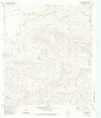 Hood Spring Texas Historical topographic map, 1:24000 scale, 7.5 X 7.5 Minute, Year 1983