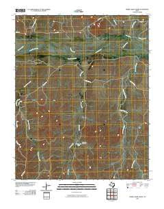 Horse Creek North Texas Historical topographic map, 1:24000 scale, 7.5 X 7.5 Minute, Year 2010