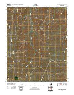 Horse Creek South Texas Historical topographic map, 1:24000 scale, 7.5 X 7.5 Minute, Year 2010