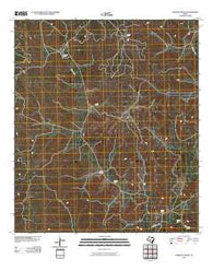 Hospital Ranch Texas Historical topographic map, 1:24000 scale, 7.5 X 7.5 Minute, Year 2010