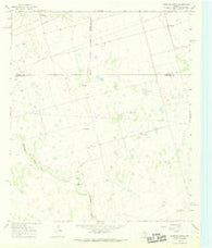 Houston Ranch Texas Historical topographic map, 1:24000 scale, 7.5 X 7.5 Minute, Year 1966