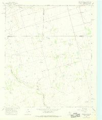 Houston Ranch Texas Historical topographic map, 1:24000 scale, 7.5 X 7.5 Minute, Year 1966