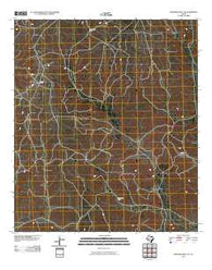 Howards Well NE Texas Historical topographic map, 1:24000 scale, 7.5 X 7.5 Minute, Year 2010