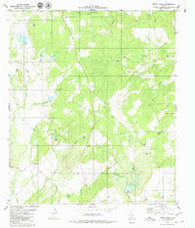 Indian Creek Texas Historical topographic map, 1:24000 scale, 7.5 X 7.5 Minute, Year 1979