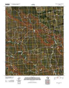 Indian Canyon Texas Historical topographic map, 1:24000 scale, 7.5 X 7.5 Minute, Year 2010