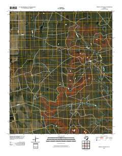 Indian Canyon NE Texas Historical topographic map, 1:24000 scale, 7.5 X 7.5 Minute, Year 2010