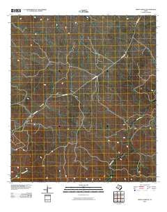 Indian Creek NE Texas Historical topographic map, 1:24000 scale, 7.5 X 7.5 Minute, Year 2010