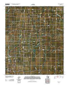 Ira NE Texas Historical topographic map, 1:24000 scale, 7.5 X 7.5 Minute, Year 2010