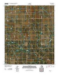 Irby Texas Historical topographic map, 1:24000 scale, 7.5 X 7.5 Minute, Year 2010