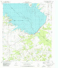 Iron Bridge Dam Texas Historical topographic map, 1:24000 scale, 7.5 X 7.5 Minute, Year 1980