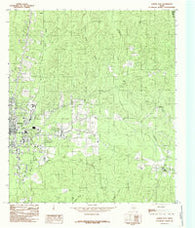 Jasper East Texas Historical topographic map, 1:24000 scale, 7.5 X 7.5 Minute, Year 1984