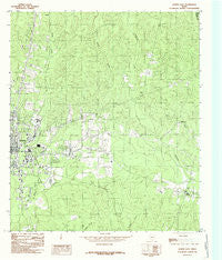 Jasper East Texas Historical topographic map, 1:24000 scale, 7.5 X 7.5 Minute, Year 1984