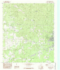 Jasper West Texas Historical topographic map, 1:24000 scale, 7.5 X 7.5 Minute, Year 1984