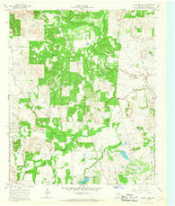 Johnson Lake Texas Historical topographic map, 1:24000 scale, 7.5 X 7.5 Minute, Year 1964
