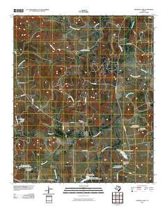Johnson Lake Texas Historical topographic map, 1:24000 scale, 7.5 X 7.5 Minute, Year 2010
