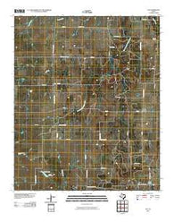 Joy Texas Historical topographic map, 1:24000 scale, 7.5 X 7.5 Minute, Year 2010