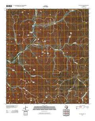 Joy Hollow Texas Historical topographic map, 1:24000 scale, 7.5 X 7.5 Minute, Year 2010