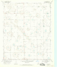 Julia Lake Texas Historical topographic map, 1:24000 scale, 7.5 X 7.5 Minute, Year 1968