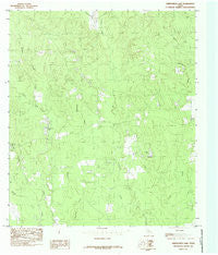 Kirkpatrick Lake Texas Historical topographic map, 1:24000 scale, 7.5 X 7.5 Minute, Year 1984