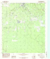 Kountze South Texas Historical topographic map, 1:24000 scale, 7.5 X 7.5 Minute, Year 1984