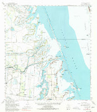 La Leona Texas Historical topographic map, 1:62500 scale, 15 X 15 Minute, Year 1955