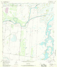 La Leona Texas Historical topographic map, 1:24000 scale, 7.5 X 7.5 Minute, Year 1955