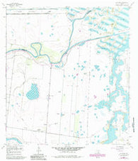 La Leona Texas Historical topographic map, 1:24000 scale, 7.5 X 7.5 Minute, Year 1955