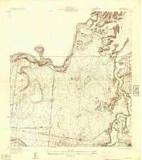 La Leona Texas Historical topographic map, 1:24000 scale, 7.5 X 7.5 Minute, Year 1930