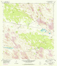 La Parra Ranch SW Texas Historical topographic map, 1:24000 scale, 7.5 X 7.5 Minute, Year 1954