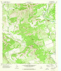 Laguna Texas Historical topographic map, 1:24000 scale, 7.5 X 7.5 Minute, Year 1974