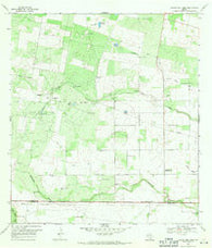 Laguna Del Toro Texas Historical topographic map, 1:24000 scale, 7.5 X 7.5 Minute, Year 1969