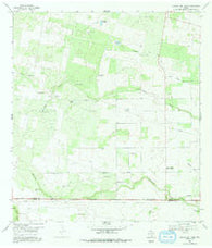 Laguna Del Toro Texas Historical topographic map, 1:24000 scale, 7.5 X 7.5 Minute, Year 1969
