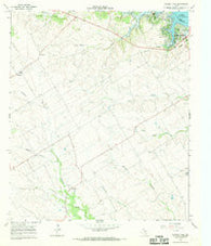 Laguna Park Texas Historical topographic map, 1:24000 scale, 7.5 X 7.5 Minute, Year 1966