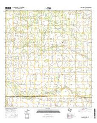 Laguna Del Toro Texas Current topographic map, 1:24000 scale, 7.5 X 7.5 Minute, Year 2016