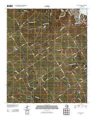 Laguna Park Texas Historical topographic map, 1:24000 scale, 7.5 X 7.5 Minute, Year 2010