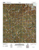 Laguna Park Texas Historical topographic map, 1:24000 scale, 7.5 X 7.5 Minute, Year 2010