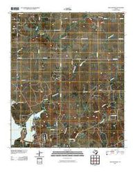 Lake Eddleman Texas Historical topographic map, 1:24000 scale, 7.5 X 7.5 Minute, Year 2010